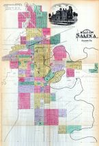 Salina, Kansas State Atlas 1887